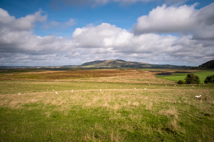 Loch Leven wildflower restoration project